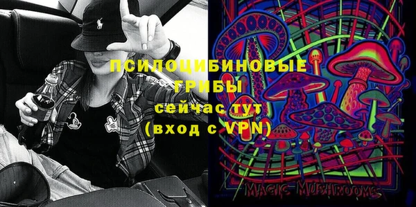 мдпв Богданович
