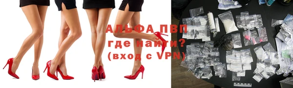 гашик Володарск