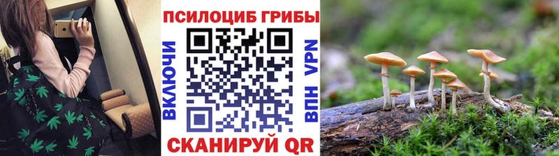 Псилоцибиновые грибы мухоморы  блэк спрут вход  Десногорск  хочу  