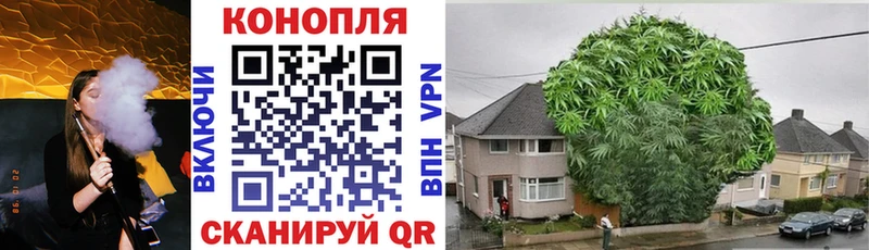 Бошки Шишки VHQ  маркетплейс телеграм  Десногорск 